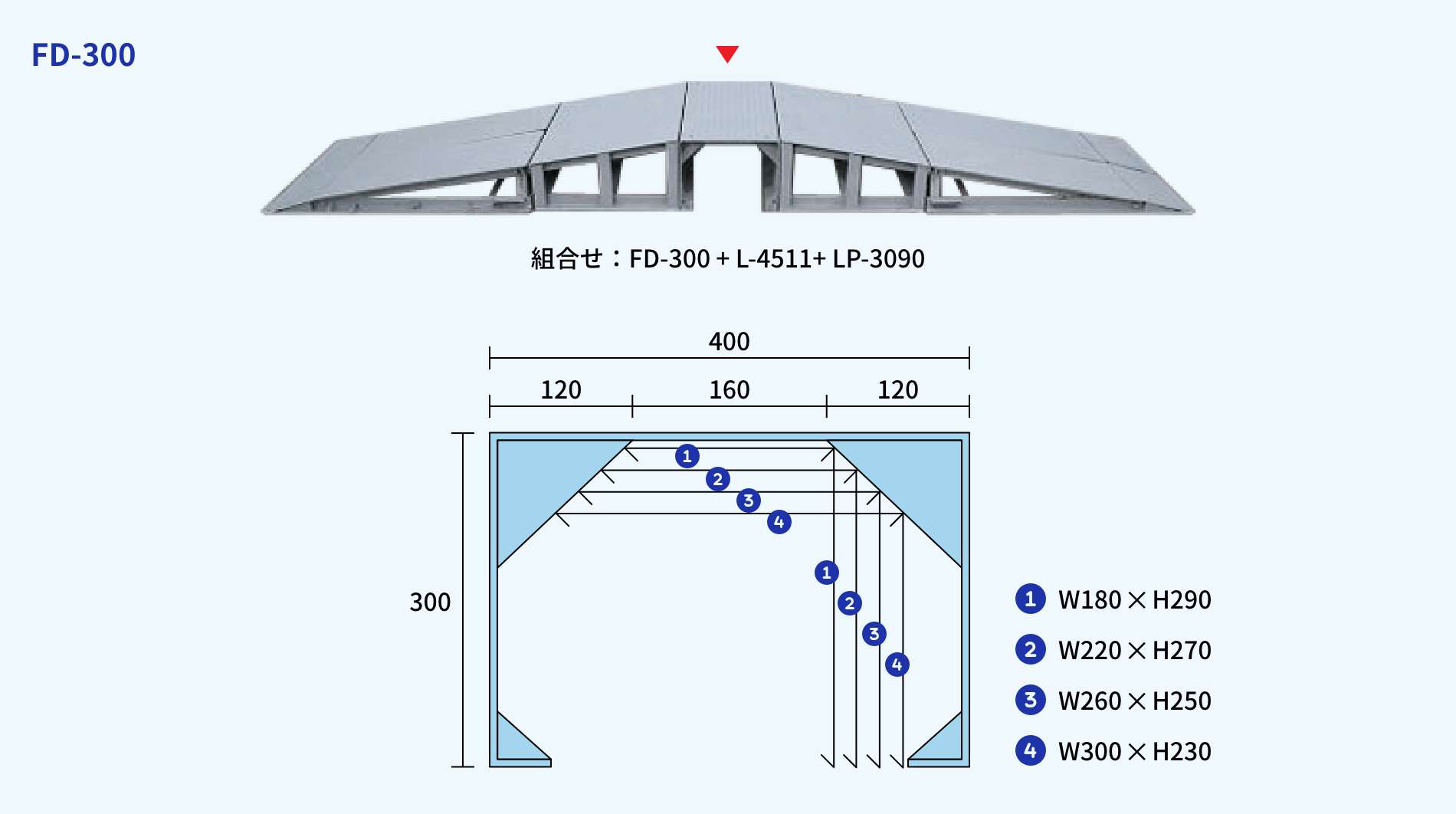 FD-300
